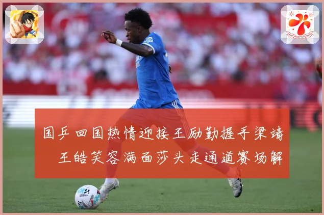 国乒回国热情迎接王励勤握手梁靖崑王皓笑容满面莎头走通道赛场解读：最新赛事动态与深度分析